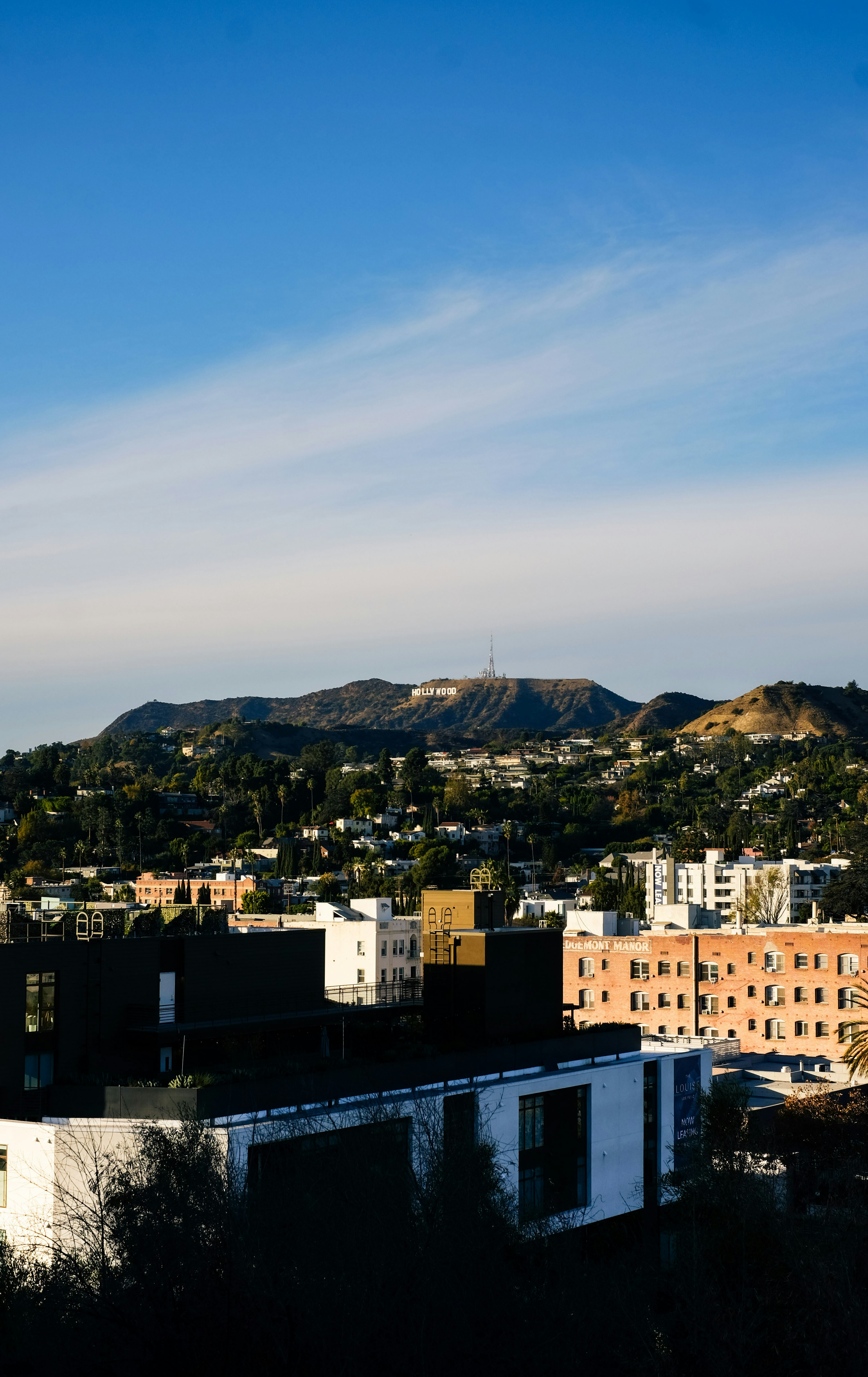 Looking into the Hollywood sign